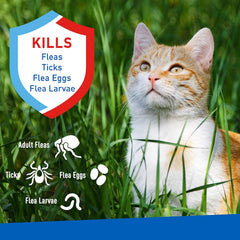 ADAMS Flea & Tick Spray for Cats – 16 fl oz
