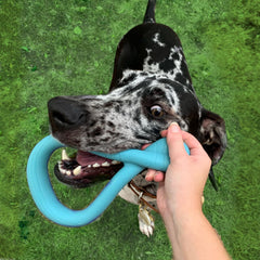 Nylabone Tuug Interactive Dog Toy for Dog Enrichment - Firm Yet Flexible Dog Tug Toy for Creative Play & Dog Exercise - Play Toy Not Intended for Chewing