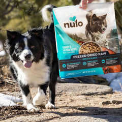 Nulo Freeze-Dried Raw Chicken Recipe with Blueberries Complete and Balanced Dry Dog Food Kibble