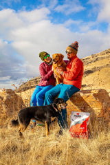 Nulo Frontrunner Dry Dog Food for Adult Dogs - Grain Inclusive Recipe with Turkey, Trout, & Spelt - All Natural with High Taurine Levels - Animal Protein for Lean Strong Muscles, Orange