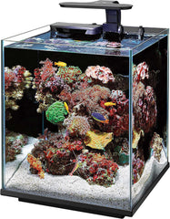 Coralife Aquarium Fish Tank Marine Salt Water Clip-On LED Light
