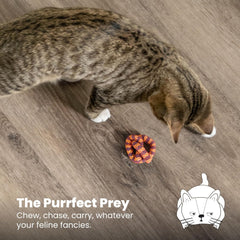 Petstages Catstages Plaque Away Pretzel Cat Toy – Interactive Catnip Dental Chew Toy to Help Clean Teeth, Fun for Play and Chewing, Orange