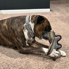 SPOT Dura-Fused Hemp Friends - Dog Toy Made with Hemp Material, Fused with Tricot for Durablity, with Furry Plush Tail and Squeaker, Great for Light to Moderate Chewers - 18" Assorted Styles, 1 Piece