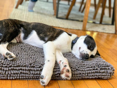 Dog Gone Smart Pet Products Dirty Dog Microfiber Cushion Pad, Grey