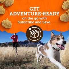 Zuke’s Mini Naturals Dog Training Treats for Dogs of All the Sizes, Pet Treats made with Real Peanut Butter
