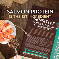 Sensitive Skin & Stomach Large Breed with Salmon and Ancient Grains Dry Food for Dogs and Puppies 30 lb