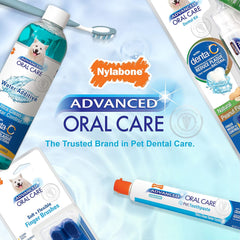 Nylabone Advanced Oral Care Natural Dog Dental Kit Peanut Flavor