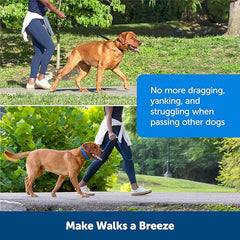 PetSafe Soft Point Training Collar - Helps Stop Pulling - Safer Than Prong or Choke Collars - Teaches Better Leash Manners - No Pull Training Collar with Rubber Points for Dogs - Medium