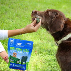 Ark Naturals® Brushless™ Toothpaste Dog Dental Chew