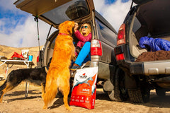 Nulo Frontrunner Dry Dog Food for Adult Dogs - Grain Inclusive Recipe with Pork, Barley, & Beef - All Natural Pet Foods with High Taurine Levels - Animal Protein for Lean Strong Muscles