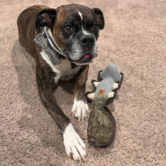 SPOT Dura-Fused Hemp Friends - Dog Toy Made with Hemp Material, Fused with Tricot for Durablity, with Furry Plush Tail and Squeaker, Great for Light to Moderate Chewers - 18" Assorted Styles, 1 Piece