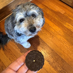 Exclusively Dog Cookies Sandwich Cremes S'Mores Flavor Dog Treats for Medium and Large Dogs, Natural and Made in The USA, 8 oz