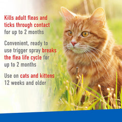 ADAMS Flea & Tick Spray for Cats – 16 fl oz