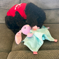 SPOT Soothers - Blanket - Soft and Cuddly Dog & Puppy Toy with Lavender Scented Beads to Calm and Relax Your Pet, Provides Separation Anxiety Relief Due to Travel, Thunder and Loud Noises