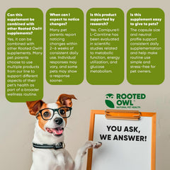 Rooted Owl® Metabolism Support - L-Carnitine Supplement for Dogs and Cats