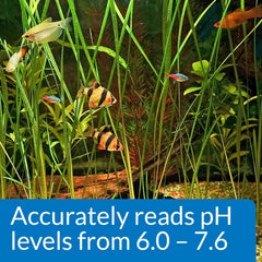 API PH TEST KIT 250-Test Freshwater Aquarium Water pH Test Kit
