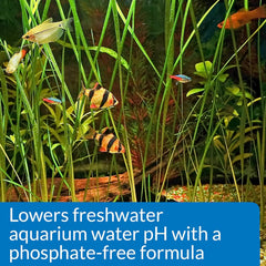API pH DOWN Freshwater Aquarium Water pH Reducing Solution 1.25-Ounce