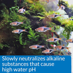 API pH DOWN Freshwater Aquarium Water pH Reducing Solution 1.25-Ounce