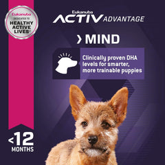 Eukanuba Puppy Small Breed Dry Dog Food
