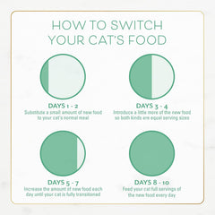 Fancy Feast Dry Cat Food with Ocean Fish and Salmon - 3 lb. Bag
