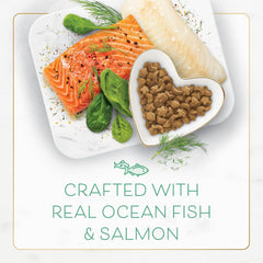 Fancy Feast Dry Cat Food with Ocean Fish and Salmon - 3 lb. Bag
