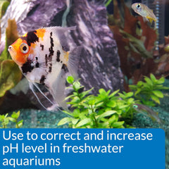API pH UP Freshwater Aquarium Water pH Raising Solution Bottle