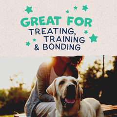 Natural Balance Limited Ingredient Rewards Crunchy Biscuits, Grain-Free Dog Treats for Adult Dogs of All Breeds, Chicken & Sweet Potato Recipe
