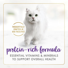 Purina Fancy Feast Delights With Cheddar Grilled Turkey and Cheddar Cheese Feast in Wet Cat Food Gravy Cat Food - (Pack of 24) 3 oz. Cans