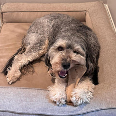 SPOT Dura-Fused Leather Bone - Dog Toy with Squeaker, Made With Real Leather and Jute Fabric, Interactive Toy for Aggressive Chewers, Durable Squeaky Toy for Dogs and Puppies, Small - 7in