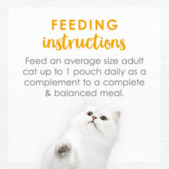Purina Fancy Feast Delights with Cheddar Grilled Chicken, Turkey or Whitefish and Cheddar Cheese Feast in Gravy Wet Cat Food Variety Pack - (Pack of 24) 3 oz. Cans