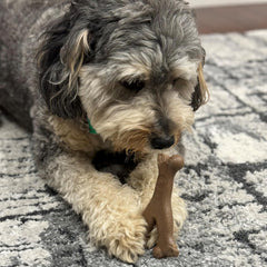 SPOT Bam-Bones Wishbone - Made with Strong Bamboo Fiber, Durable Long Lasting Dog Chew for Light to Moderate Chewers, Great Toy for Adult Dogs & Teething Puppies Under 30lbs