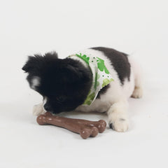 SPOT Bam-Bones Wishbone - Made with Strong Bamboo Fiber, Durable Long Lasting Dog Chew for Light to Moderate Chewers, Great Toy for Adult Dogs & Teething Puppies Under 30lbs