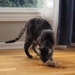 SPOT Naturals Silver Vine Cat Toy – Natural Interactive Enrichment for Cats, Stimulates Play and Reduces Stress, Durable and Safe, Perfect for Indoor Cats and Kittens, Assorted Styles, 1 Piece