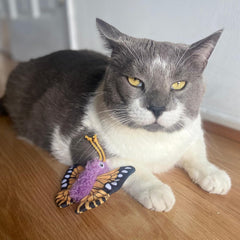SPOT Love The Earth Butterfly Cat Toy - Eco Friendly Catnip Toy Made with Recycled Plastic Bottles, Soft, Plush, Bright Colored Classic Toy for Indoor Cats and Kittens - 4 inch, Assorted Colors