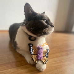 SPOT Love The Earth Butterfly Cat Toy - Eco Friendly Catnip Toy Made with Recycled Plastic Bottles, Soft, Plush, Bright Colored Classic Toy for Indoor Cats and Kittens - 4 inch, Assorted Colors