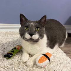 SPOT Sushi Take-out- Cat Plush Toys with Catnip & Silverine Blend, Cute and Funny Toys For Indoor Cats & Kittens, Perfect for Batting and Chasing - 4 inch, Assorted 2-Pack, Styles May Vary
