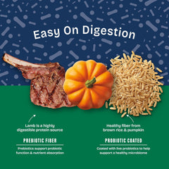 Natural Balance Health Protection Dry Dog Food – Whole Body Health, Easy on Digestion Dog Food Made with Lamb, Brown Rice & Pumpkin for Dogs - 4lbs