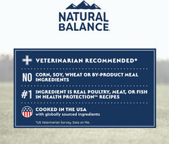 Natural Balance Health Protection Dry Dog Food – Whole Body Health, Easy on Digestion Dog Food Made with Lamb, Brown Rice & Pumpkin for Dogs - 4lbs