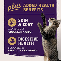 Natural Balance Ultra Protein Plus Dry Cat Food, Skin & Coat and Digestive Health, Real Salmon & Chicken Meal Recipe, 2.5 lbs.
