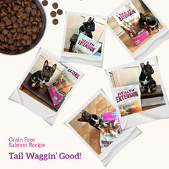 Health Extension Grain Free Buffalo & Whitefish Little Bites (10 lb / 4.54 kg) - Small Kibble Formula with Omega 3 & Whole Foods for Teacups, Toys & Miniature Dogs