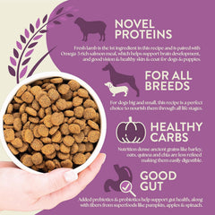 Earthborn Holistic Unrefined Roasted Lamb Recipe with Ancient Grains & Superfoods Dry Food for Dogs & Puppies