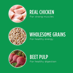 Iams Proactive Health Minichunks with Chicken & Whole Grain Recipe Adult Dry Dog Food