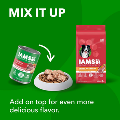 IAMS Minichunks Adult Dry Dog Food Lamb & Rice Recipe Dog Kibble