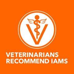 IAMS Proactive Health Adult Sensitive Digestion & Skin Dry Cat Food with Turkey