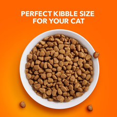 IAMS Proactive Health Adult Sensitive Digestion & Skin Dry Cat Food with Turkey