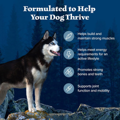 Blue Buffalo Wilderness Natural High-Protein Dry Food for Adult Dogs, Chicken Recipe