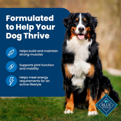 Blue Buffalo Life Protection Formula Adult Dry Dog Food, Helps Build and Maintain Strong Muscles, Made with Natural Ingredients, Chicken & Brown Rice Recipe