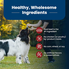 Blue Buffalo Life Protection Formula Adult Dry Dog Food, Helps Build and Maintain Strong Muscles, Made with Natural Ingredients, Beef & Brown Rice Recipe