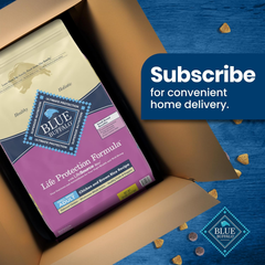 Blue Buffalo Life Protection Formula Adult Small Breed Dry Dog Food, Supports High Energy Needs, Made with Natural Ingredients, Chicken & Brown Rice Recipe