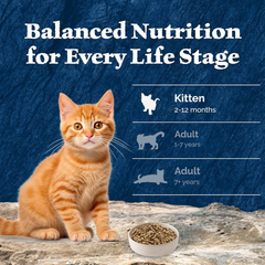 Blue Buffalo Wilderness Natural Kitten Dry Cat Food, with DHA and ARA to Support Brain and Eye Development, High-Protein and Grain-Free Diet, Chicken